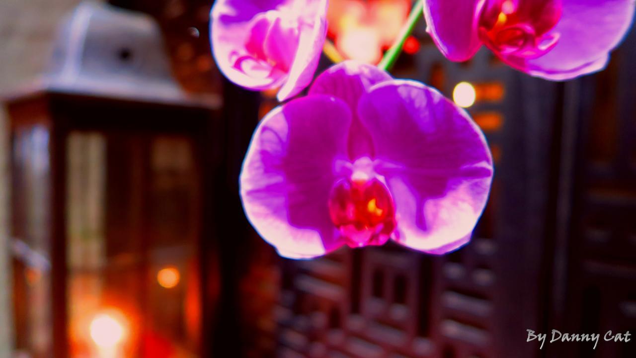 North Sea Hotel Taichung Eksteriør bilde