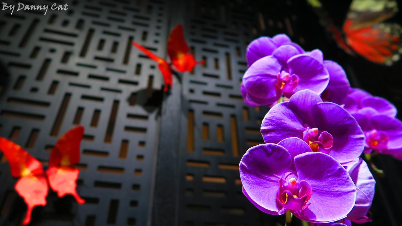 North Sea Hotel Taichung Eksteriør bilde